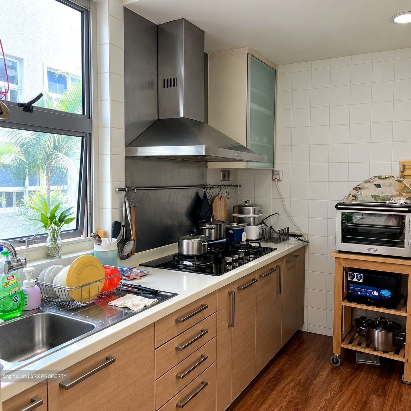 Dahlia Park Condominium (D17), Condominium #627613251